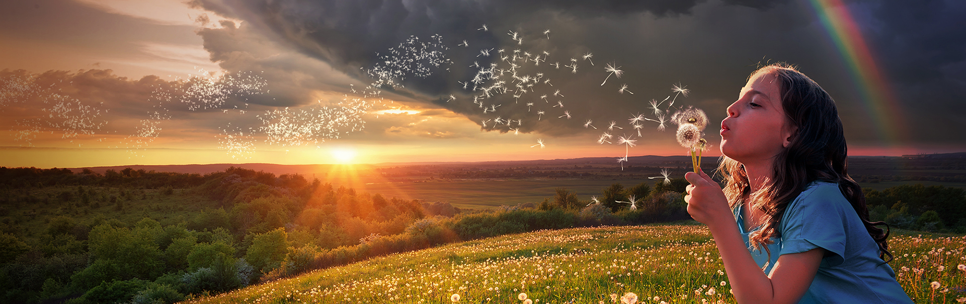 
		Girl blowing dandelion across sunset in a field		