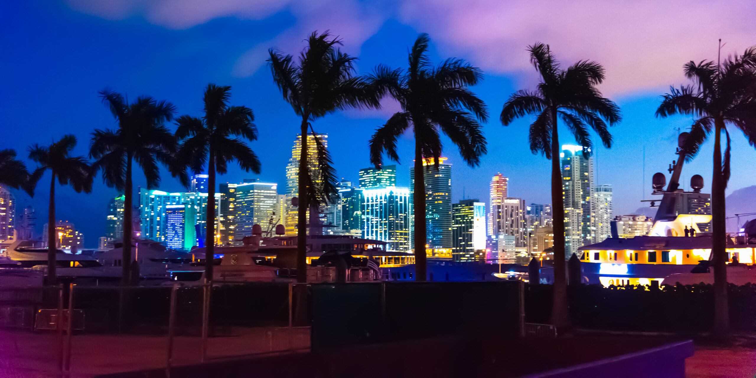 
		Nighttime photo of a beach in Miami, FL. Palm trees are in the foreground, and the downtown Miami cityscape is in the background.		