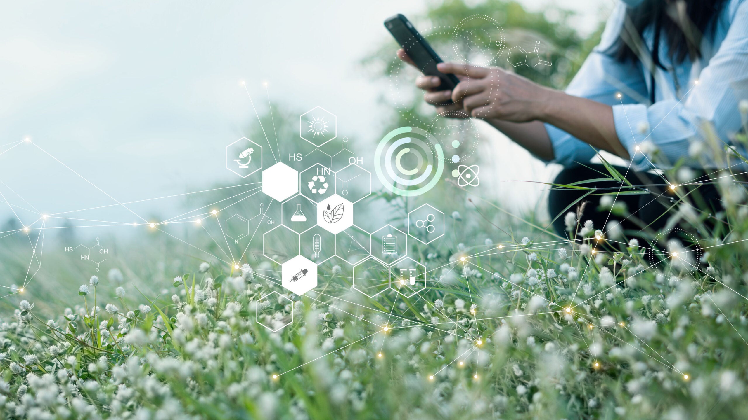 Volunteer science in a field