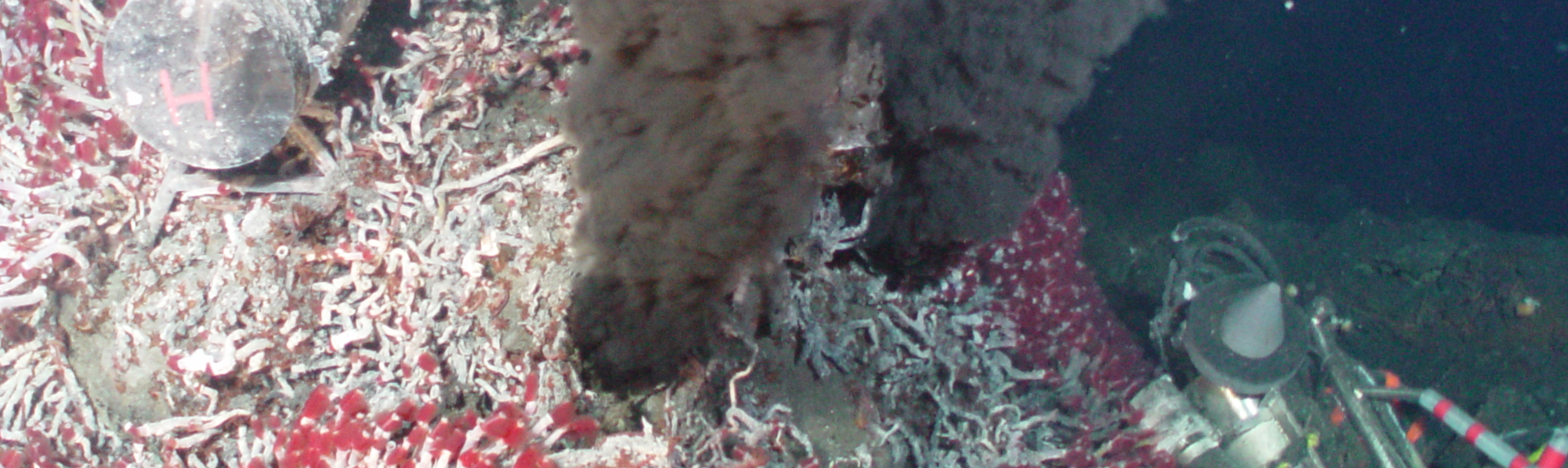
		Hydrothermal vent		